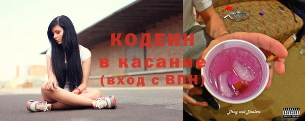прущий лед Пересвет