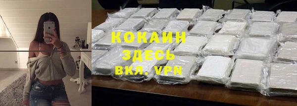 прущие грибы Осинники