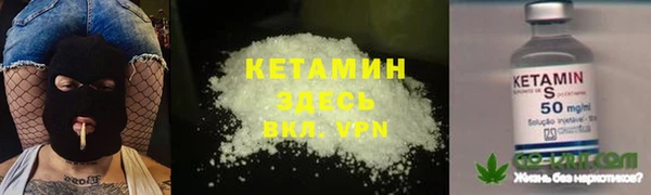 прущие грибы Осинники