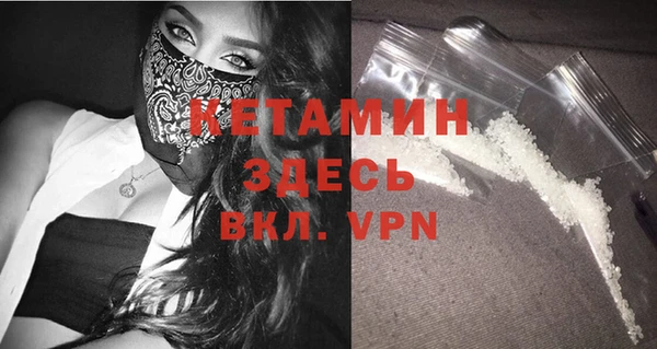 прущие грибы Осинники