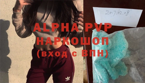 прущие грибы Осинники