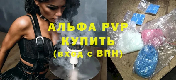 прущие грибы Осинники