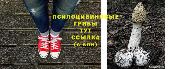 скорость Осташков