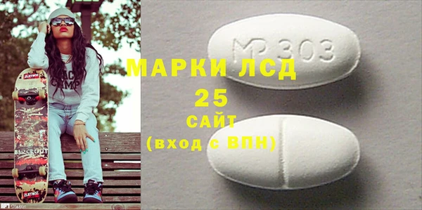 прущие грибы Осинники