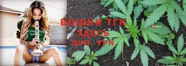 прущие грибы Осинники