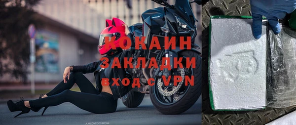 прущие грибы Осинники