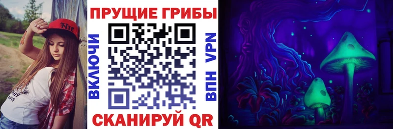 наркошоп  Кольчугино  Галлюциногенные грибы мухоморы 
