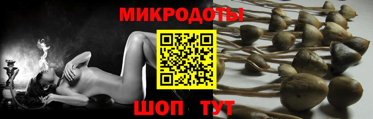 Кольчугино  Галлюциногенные грибы Psilocybine cubensis  Галлюциногенные грибы прущие грибы  Вход с VPN 