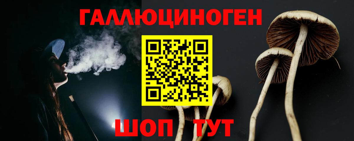 Псилоцибиновые грибы ЛСД Кольчугино