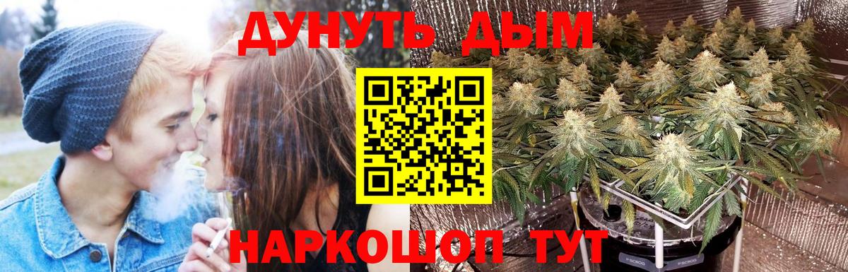 Бошки марихуана Amnesia  Вход с VPN  Конопля Ganja  Шишки марихуана Bruce Banner  Бошки Шишки тримм  Кольчугино 